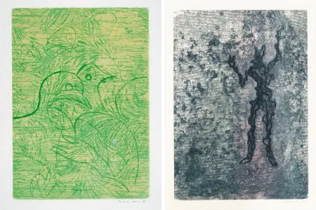 Ets En Aquatint Ernst - PAROLES PEINTES (1959) 2 GRAVURES ORIGINALES DE MAX ERNST (10 gravures originales de Max Ernst, Jacques Hérold, Wifredo Lam, Sébastian Matta et DorotheaTanning. Poèmes d’Alain Bosquet).