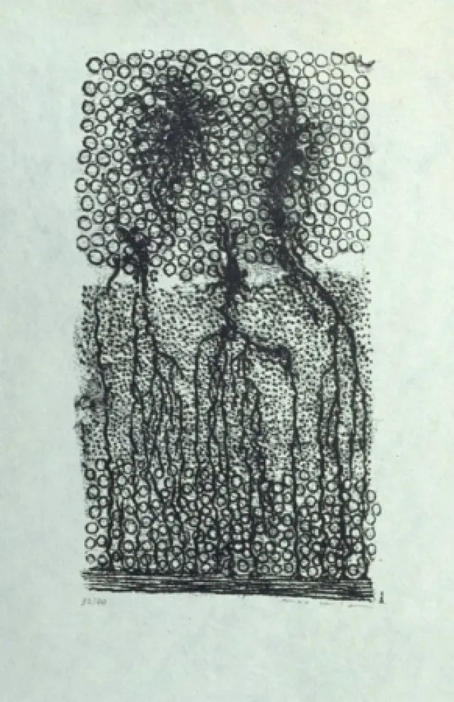 Lithografie Ernst - Sans titre