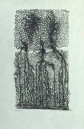 Lithografie Ernst - Sans titre