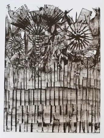 Lithografie Ernst - Terra Incognita 9