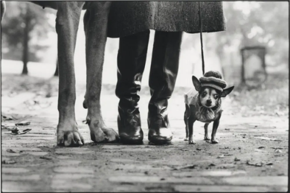 Fotografie Erwitt - New York City