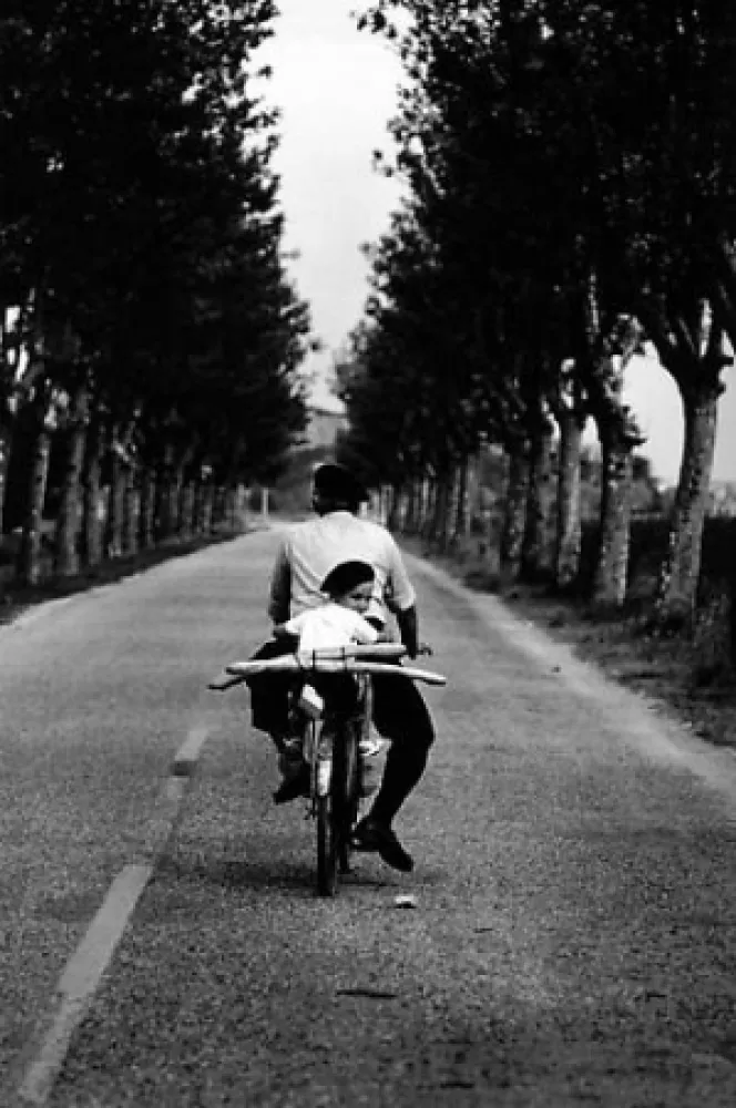 Fotografie Erwitt - Provence