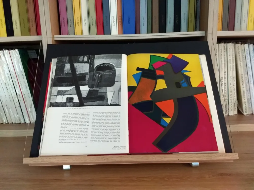 Geïllustreerd Boek Esteve - Hommage