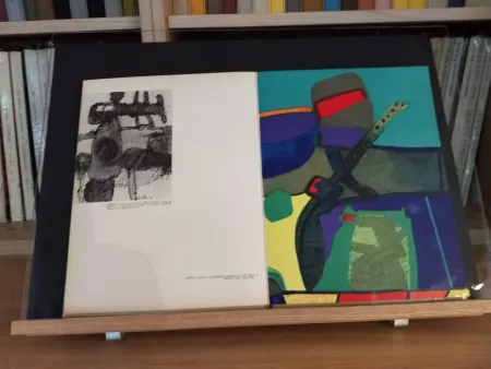 Geïllustreerd Boek Esteve - No 39