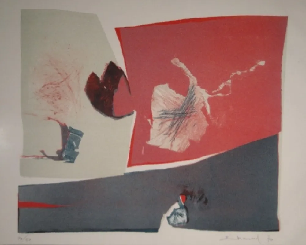 Lithografie Evrard - Untitled