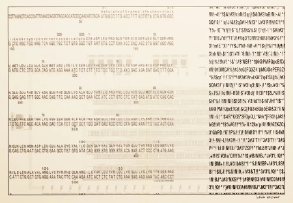 Zeefdruk Export - Selbstporträt (Self Portrait)