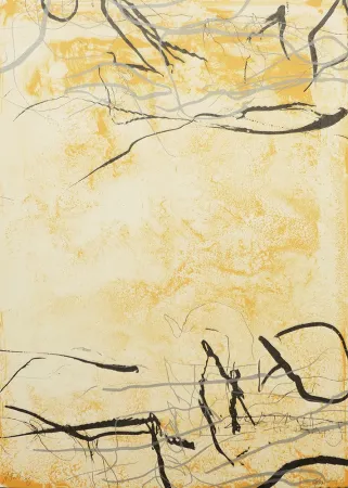 Lithografie Fabré - Entre Voces