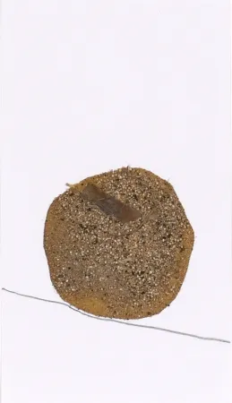 Geen Techniek Fabre - Je marche pendant 7 jours et 7 nuits