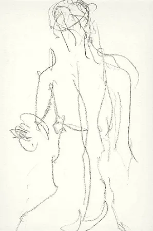 Geïllustreerd Boek Fabro - Art body