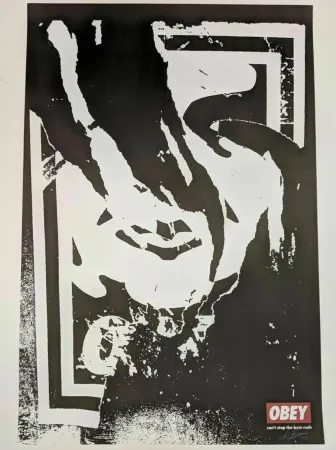 Lithografie Fairey - Obey (Ripped)