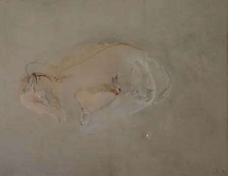 Geen Techniek Falk - (Akt)