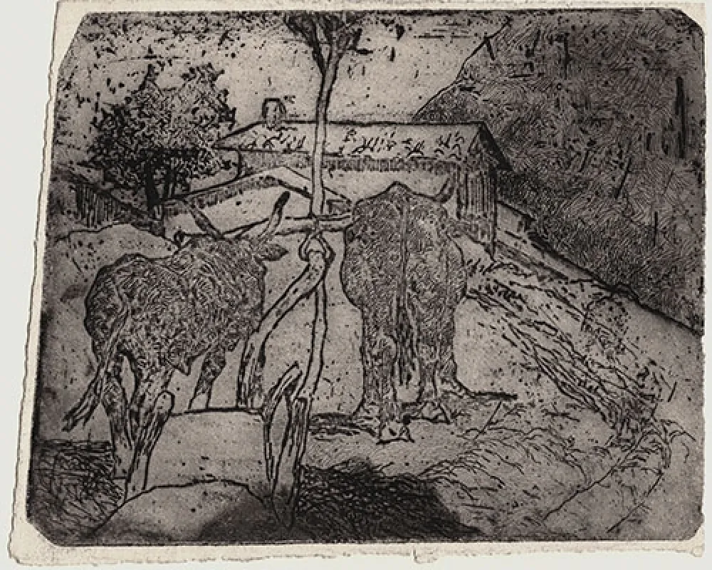 Ets Fattori - BOVI AGGIOGATI