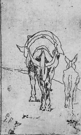 Ets Fattori - Due somarelli