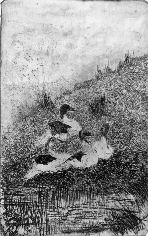 Ets Fattori - Le anatre