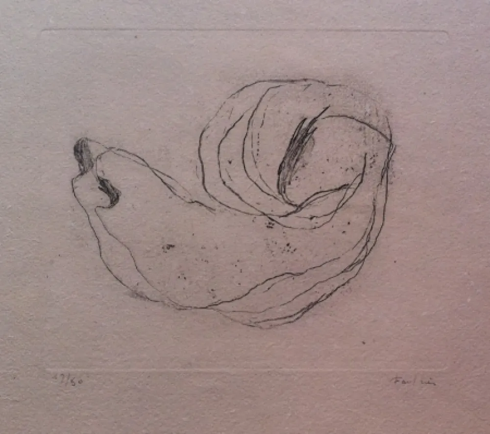 Ets Fautrier - Baby-Shell