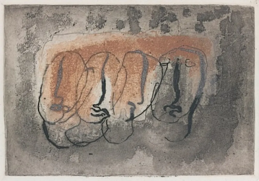 Geïllustreerd Boek Fautrier - Orenoque