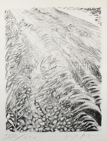 Lithografie Fazzini - Field