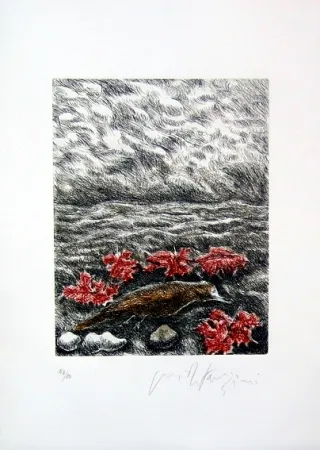 Geïllustreerd Boek Fazzini - Gabbiani