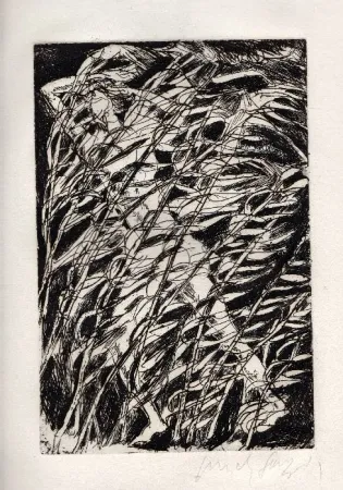 Geïllustreerd Boek Fazzini - Inni