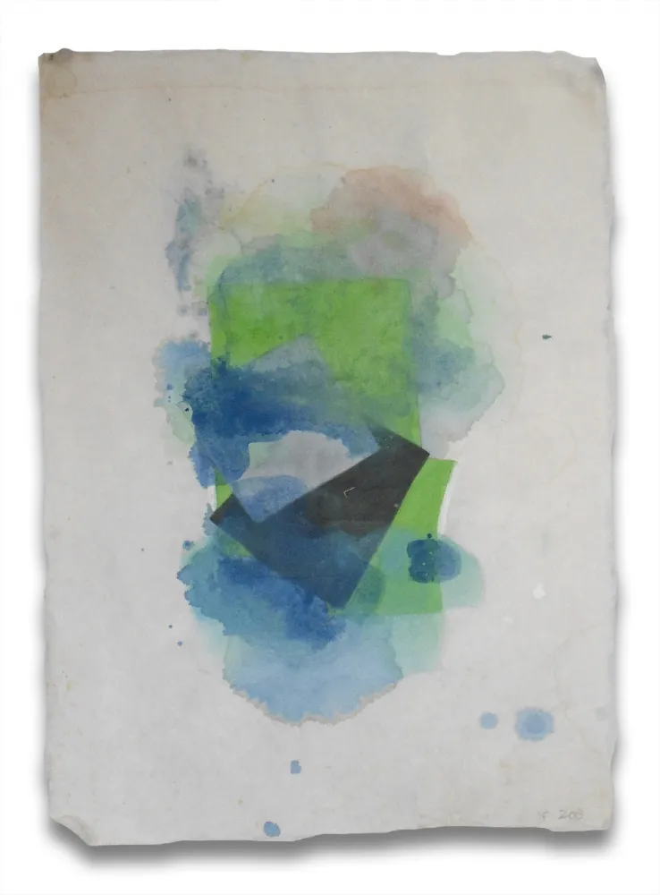 Geen Techniek Feinberg - Blur