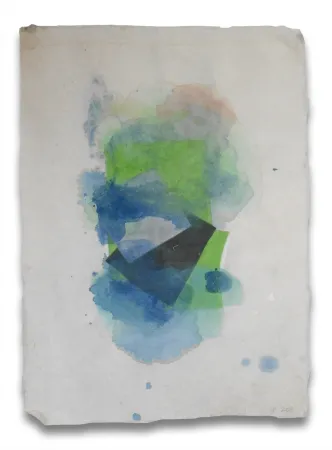 Geen Techniek Feinberg - Blur