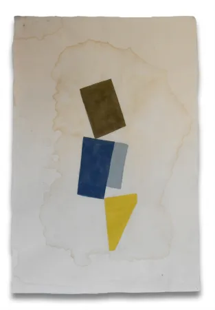 Geen Techniek Feinberg - P1.14