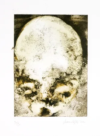 Lithografie Ferré - De précipices en belvédères 2