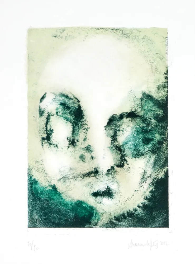 Lithografie Ferré - De précipices en belvédères 8