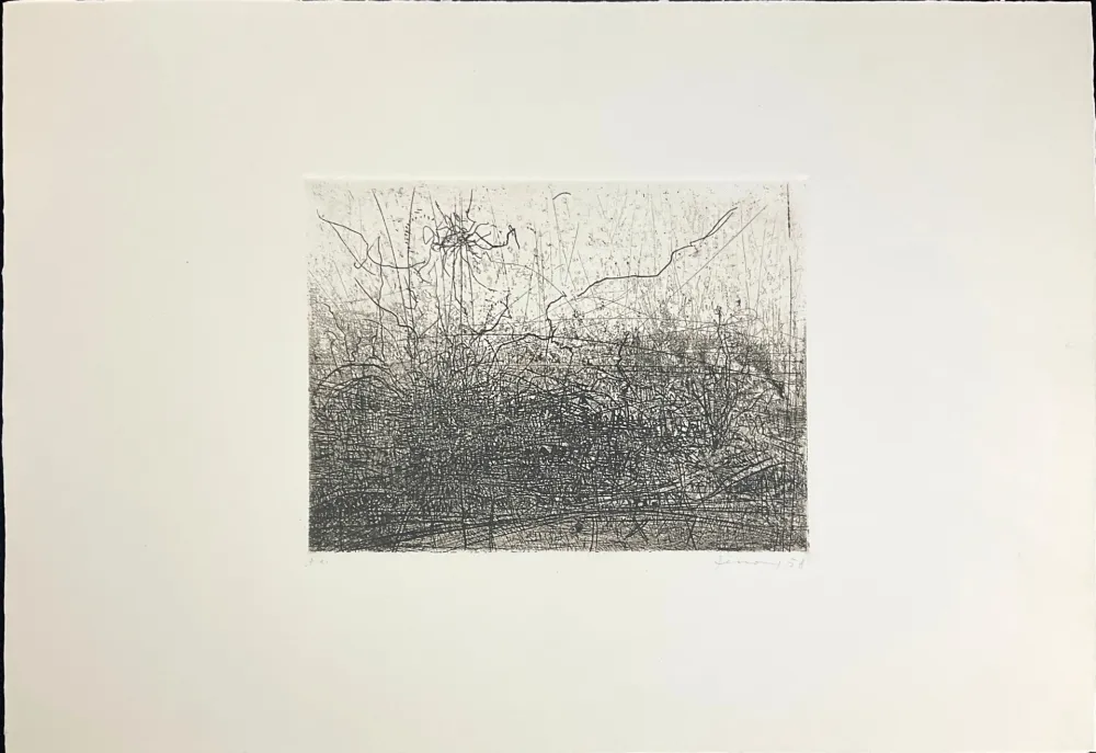 Ets En Aquatint Ferroni - Città