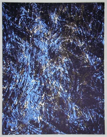 Lithografie Fiedler - Lithograph pour XXe Siècle