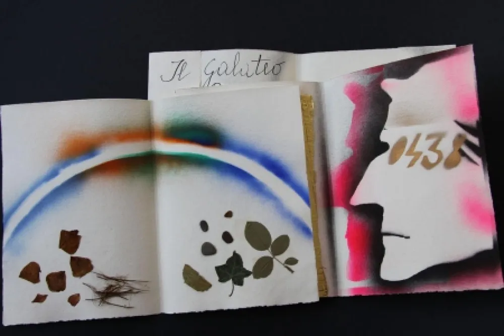 Geïllustreerd Boek Fioroni - Sonetto di veti e iridi