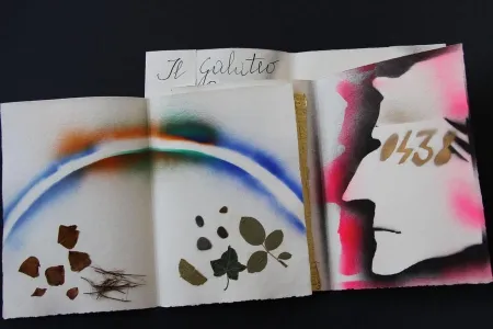 Geïllustreerd Boek Fioroni - Sonetto di veti e iridi