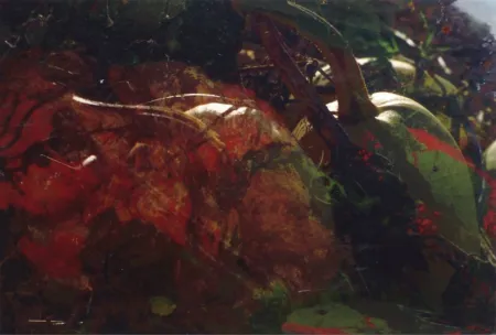 Fotografie Fischli - Ohne Titel (FW Funghi 19), 1998. Aus der Serie „Blumen und Pilze“.