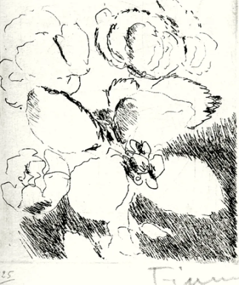 Geïllustreerd Boek Fiume - Dietro le carte