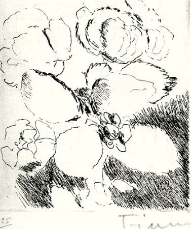 Geïllustreerd Boek Fiume - Dietro le carte