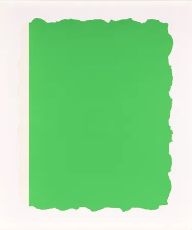 Aquatint Flavin - Untitled, from Sequences - Green