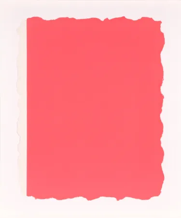 Aquatint Flavin - Untitled, from Sequences - Pink