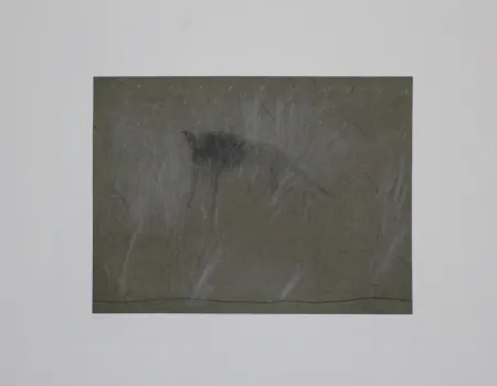 Gravure Fleischmann - Beast