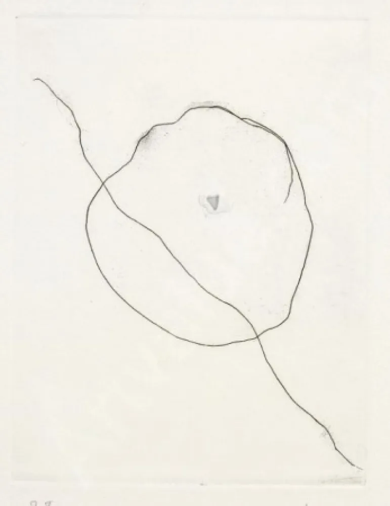 Ets Fontana - L'Épée dans l'eau