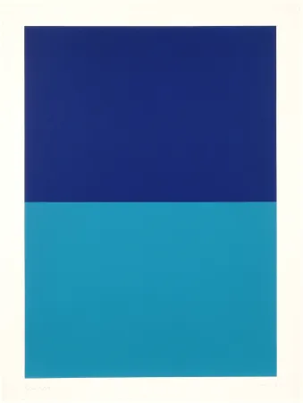 Zeefdruk Forg - Ohne Titel 01