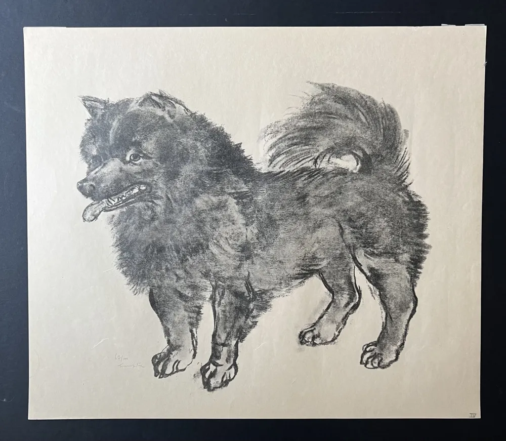 Lithografie Foujita -  Le Chien