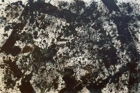 Lithografie Francis - Dark Cup (SF-141)