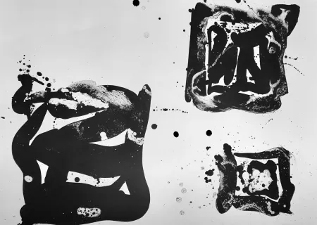 Lithografie Francis - Third Stone