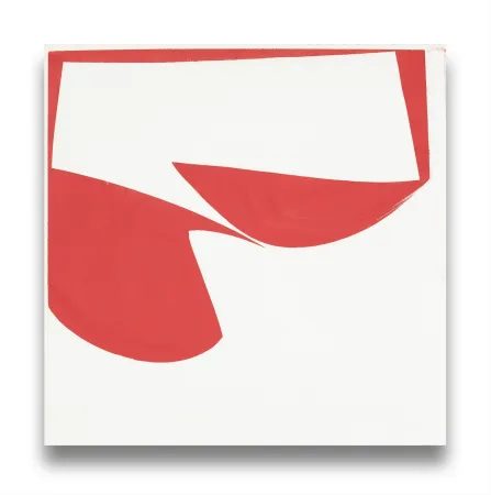 Geen Techniek Freeman - Covers 18-Red B