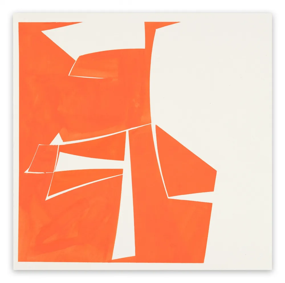 Geen Techniek Freeman - Covers 20 Red