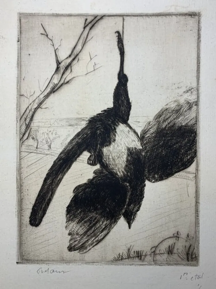 Ets Frélaut - La pie morte