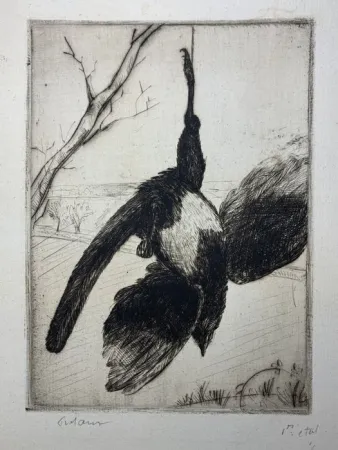 Ets Frélaut - La pie morte