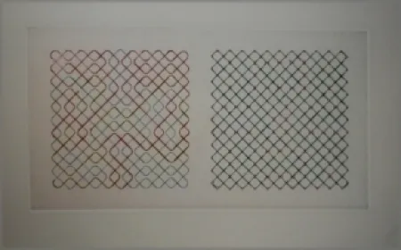 Droge Naald Frize - Composition