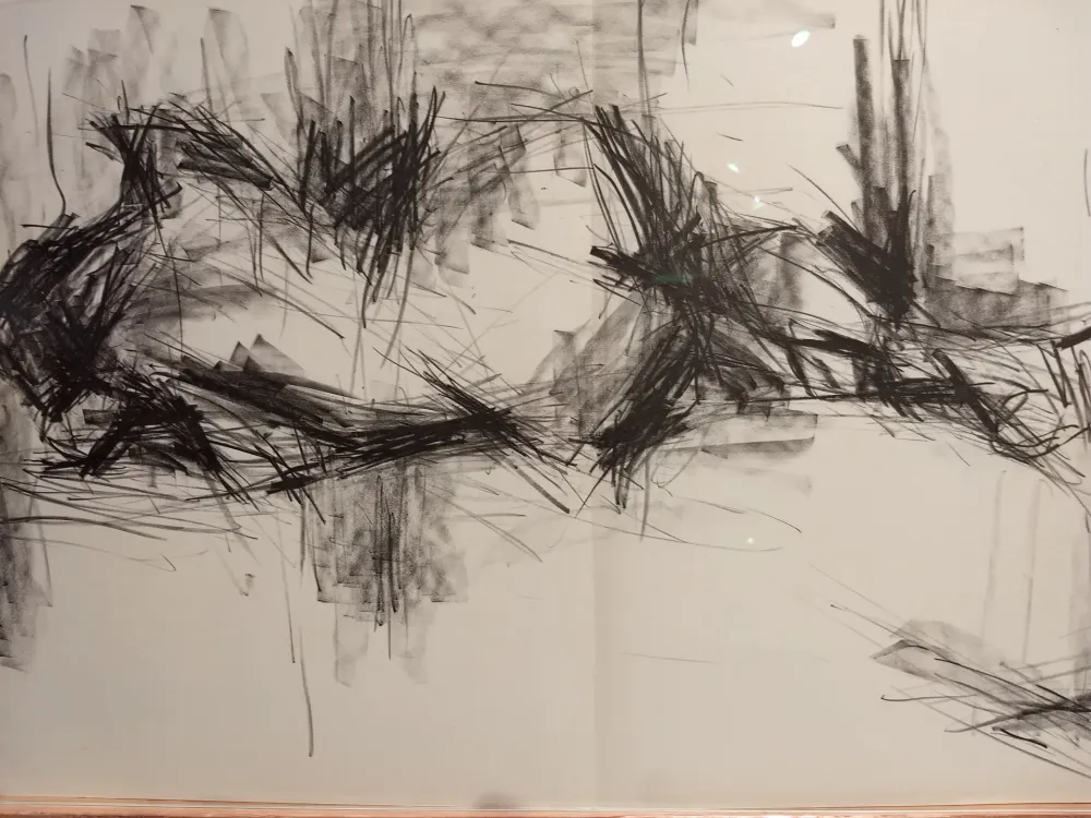 Geïllustreerd Boek Fromanger - DLM 150