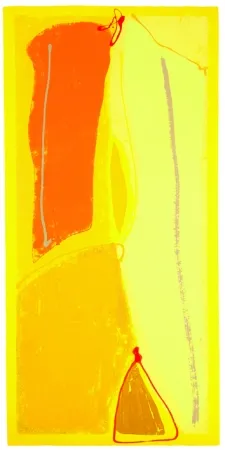 Zeefdruk Frost - Yellow Buzz - Ohio